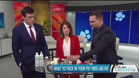 What to pack in your pet first-aid kit