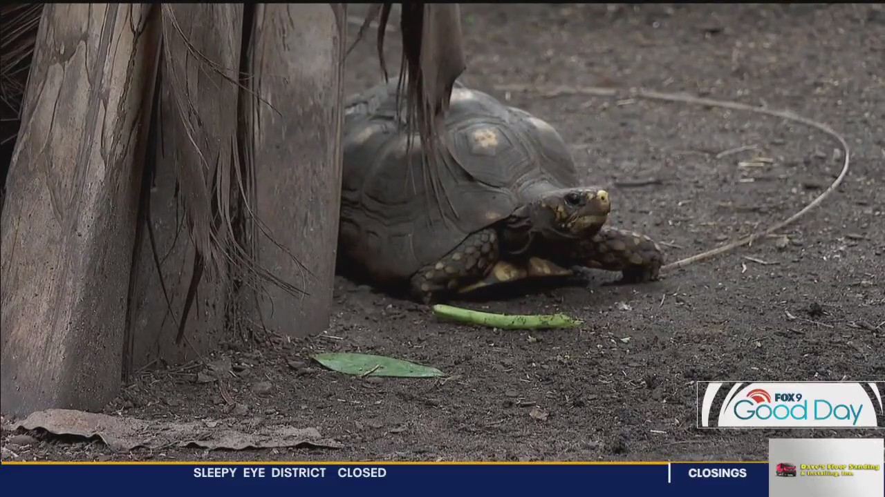 Inside the Como Park Zoo & Conservatory