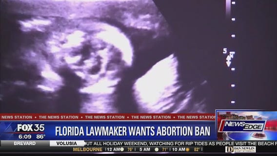Florida Panhandle lawmaker wants abortion ban