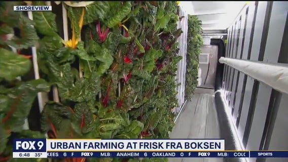 Urban farm grows fresh greens for restaurants, residents
