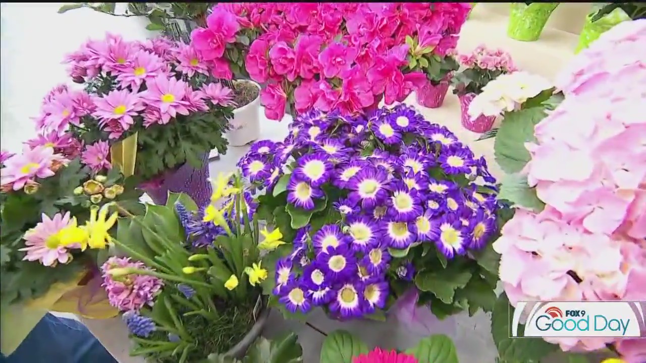 The best blooms for Easter