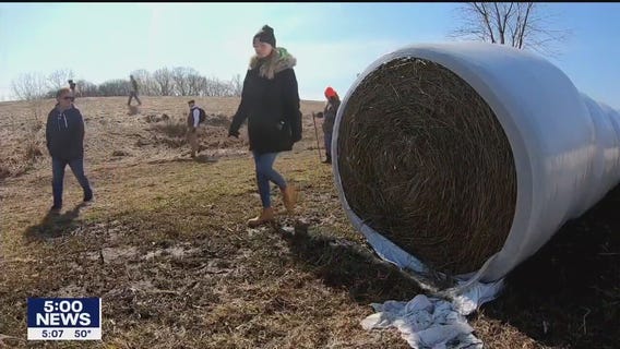 Madeline Kingsbury search: 1,800+ volunteers join search on Friday