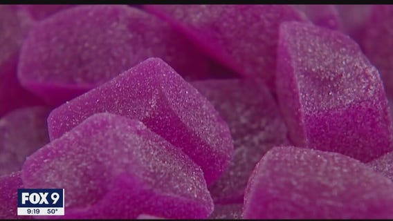 Testing legal THC gummies in Minnesota