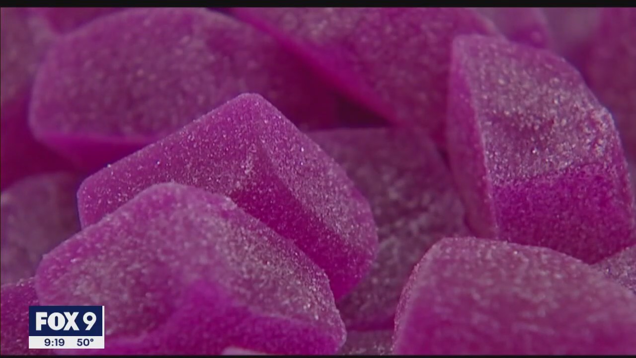 Testing legal THC gummies in Minnesota
