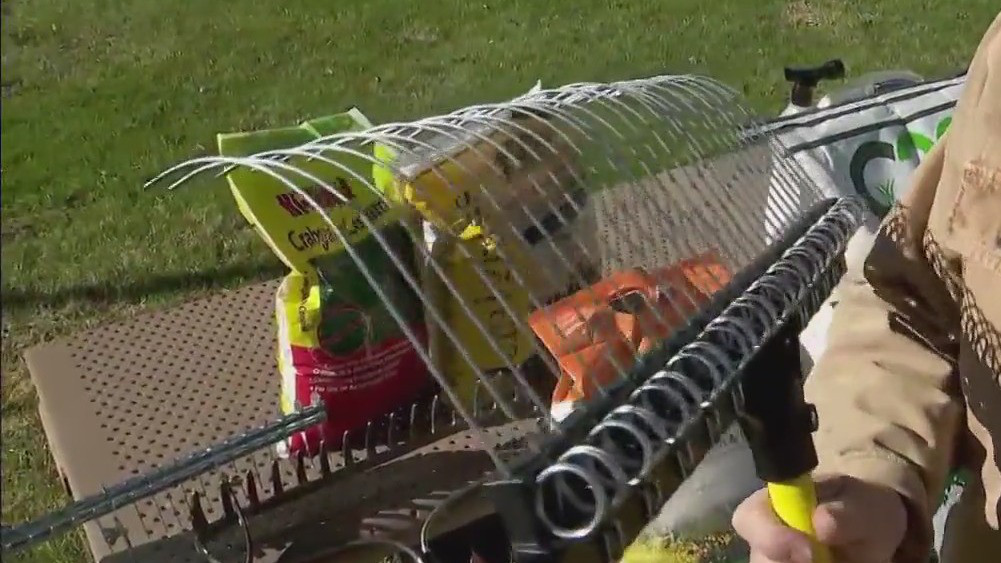 Spring yard cleanup tips