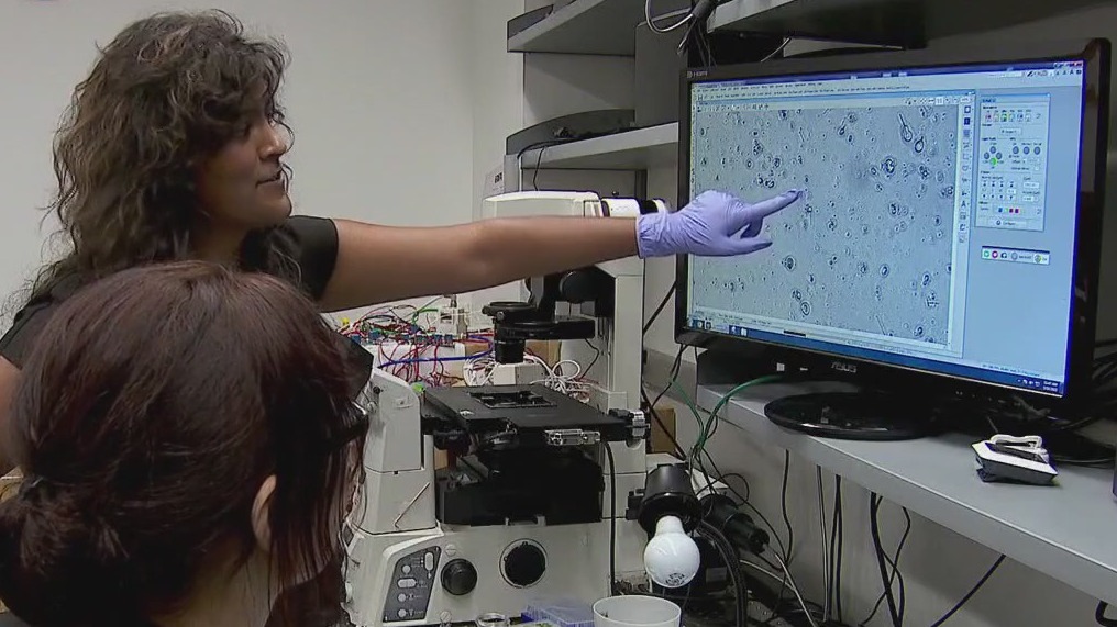 UMN team wants to unlock biological mysteries