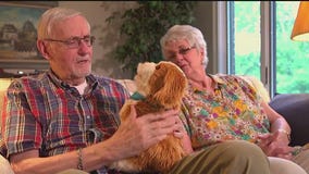 Robotic pets used to help dementia patients