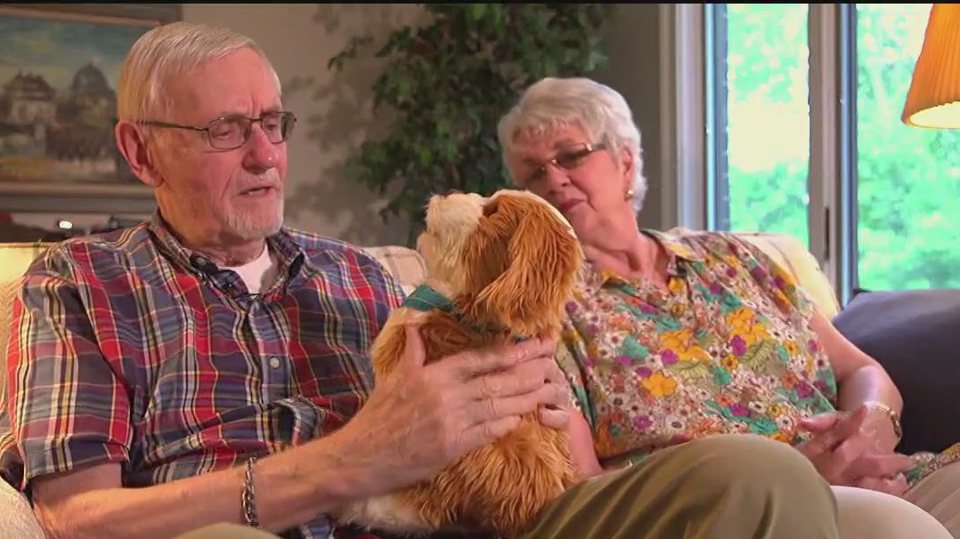 Robotic pets used to help dementia patients