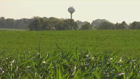 Minnesota drought worsens farmers concerns