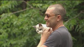 Cats of the Wedge Tour...touring the cats of the Wedge