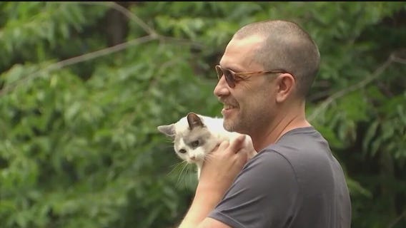 Cats of the Wedge Tour...touring the cats of the Wedge