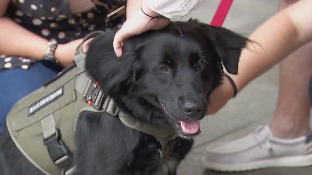 MN Wild loses valuable team member