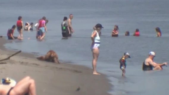 Heat wave sweeps the United States