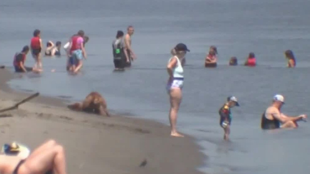 Heat wave sweeps the United States