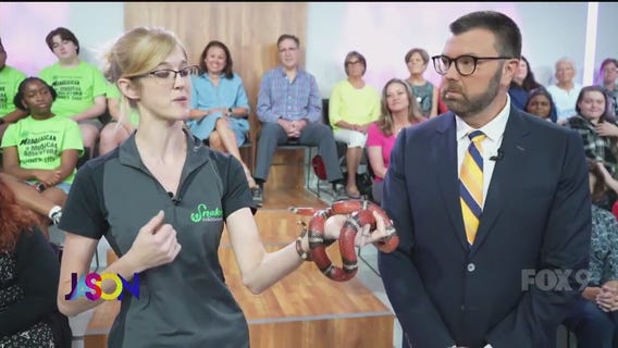 Snake Discovery visits the Jason Show