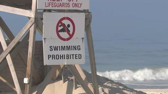 Shark attacks up to 23 so far this year