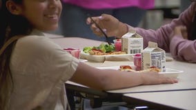 MN free school lunch benefiting children