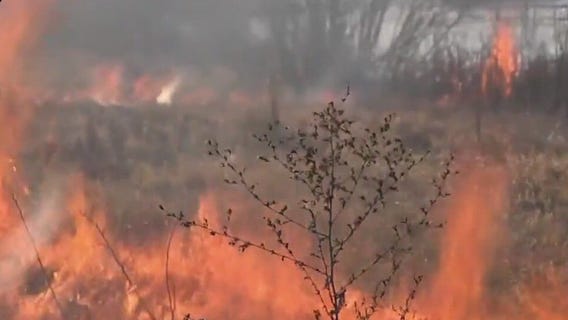 Using fire to improve landscape in Minnesota