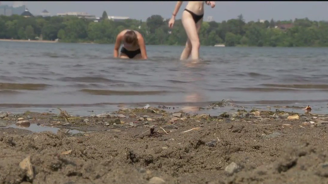 Beaches close in Minneapolis due to E. coli