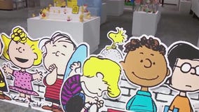 Peanuts creator's life explored in exhibition