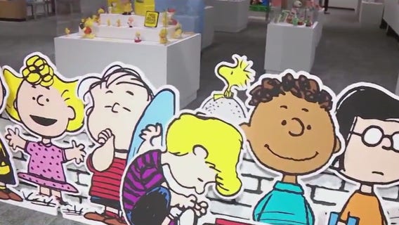 Peanuts creator's life explored in exhibition