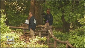 Bodies in Central Park
