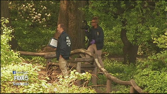 Bodies in Central Park