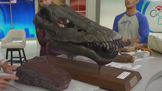 Dino Fest at the Science Museum of Minnesota