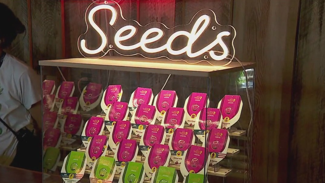 Next steps for selling marijuana in Minnesota