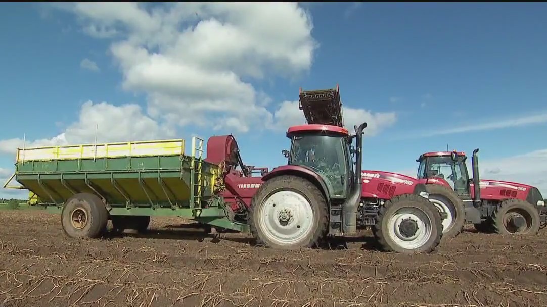 Minnesota farmers still hoping for more rain