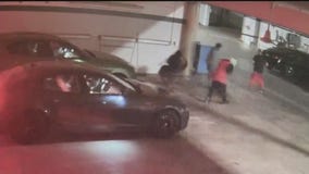 Maserati, other vehicles stolen from garage