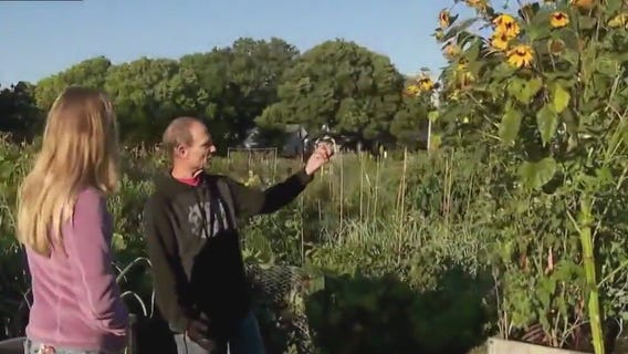 Victory Garden marks 80th year