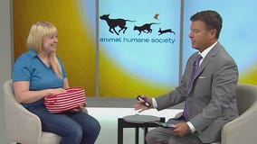 AHS unveils slate of fun fall programing .