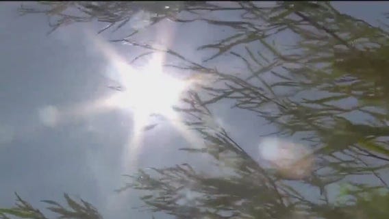 Another blast of smoky air coming