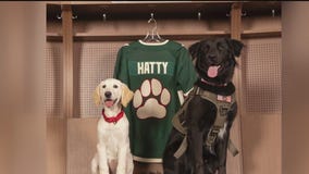 Minnesota Wild name newest member