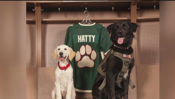 Minnesota Wild name newest member