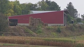 Effects of drought being felt at harvest
