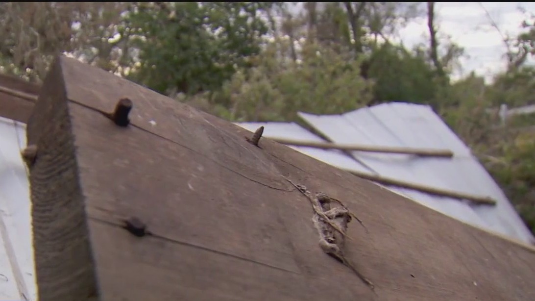 Horse farm damaged by storms last week