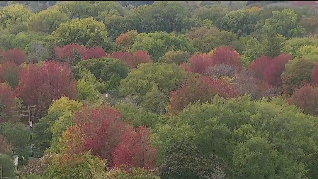 St. Paul opens up water tower for fall foliage