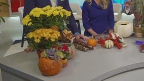 Embracing fall plants indoors: Garden Guy