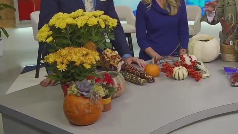 Embracing fall plants indoors: Garden Guy