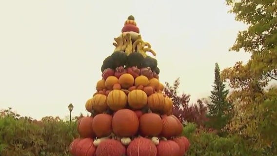 Fall at Minnesota Landscape Arboretum