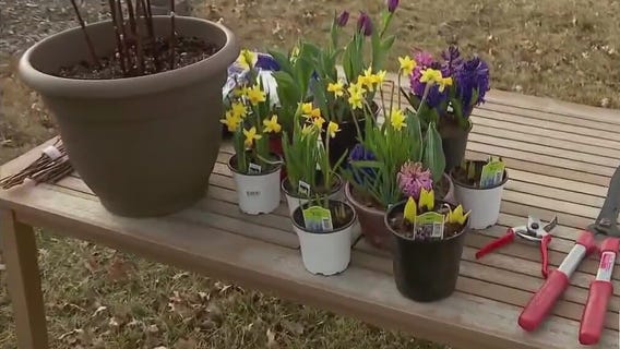 Spring gardening tips: Garden Guy