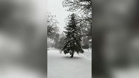 MN weather: Massive snowflakes falling in Plymouth