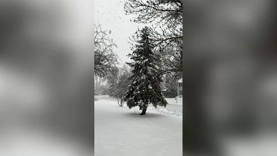 MN weather: Massive snowflakes falling in Plymouth