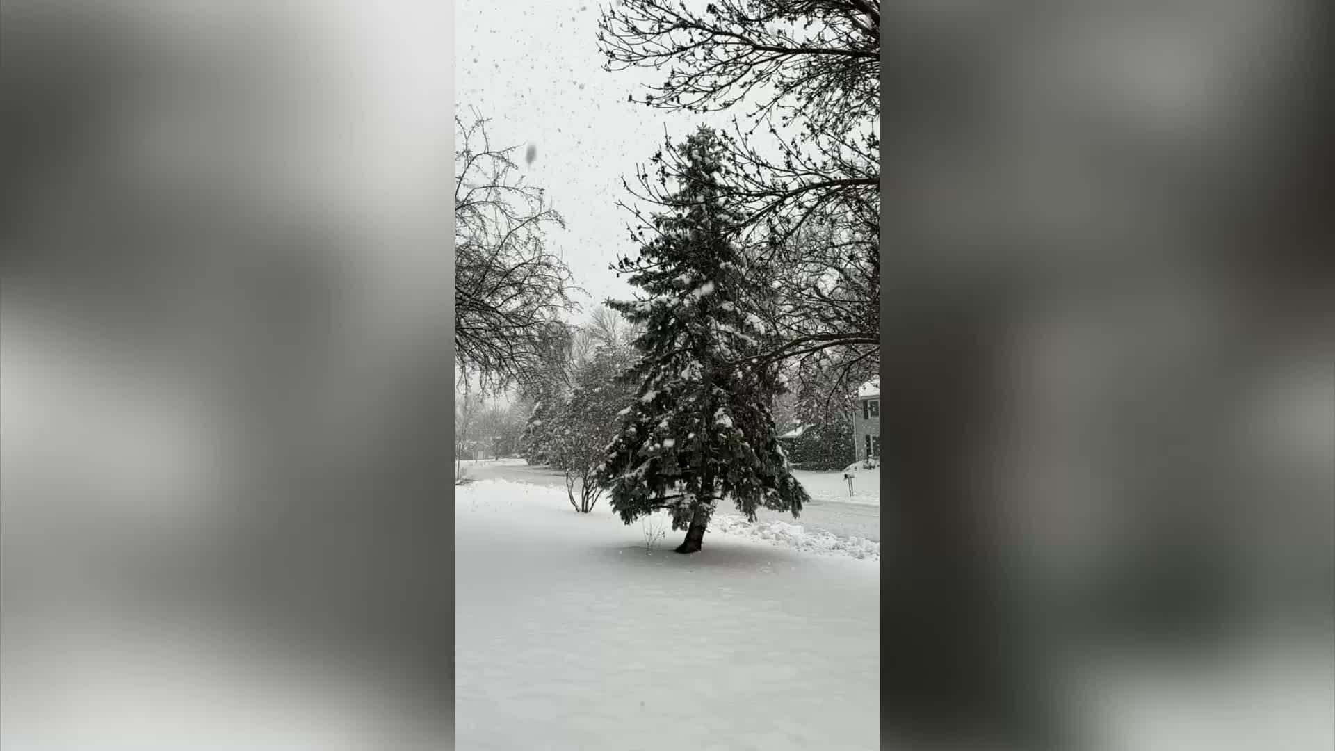 MN weather: Massive snowflakes falling in Plymouth