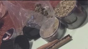 Minnesota legislators fine-tune cannabis laws