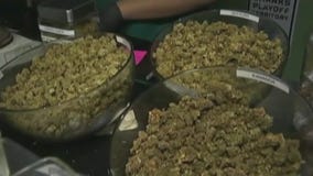 Cannabis advisory council holds meeting