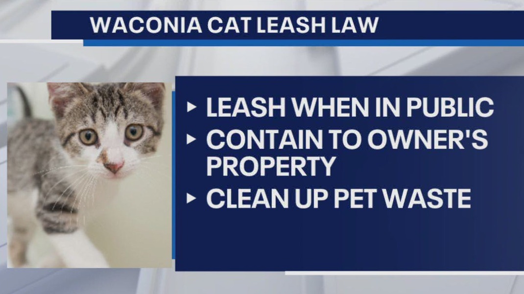Waconia considers leash law for cats