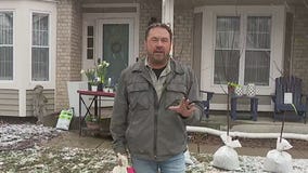 What to plant in Minnesota in April